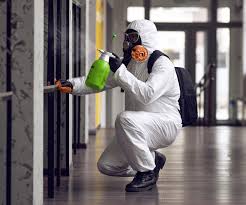 Best Forensic Mold Investigation in USA